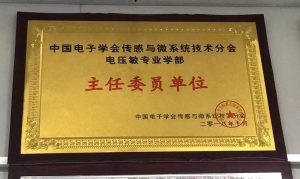 中國電子學會傳感與微系統技術分會電壓敏專業學部